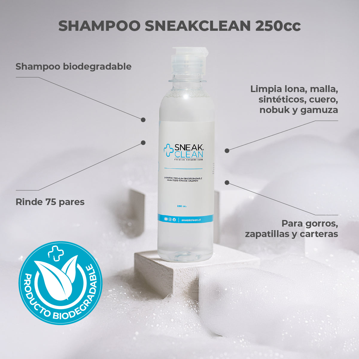 Sneakclean Essential Kit